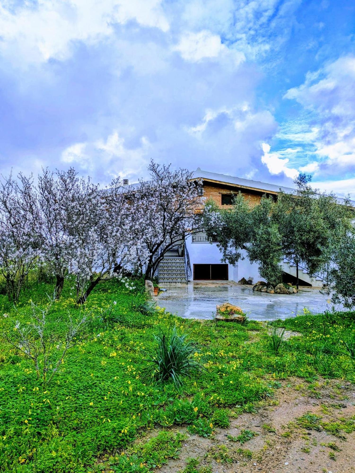 Agriturismo "Pirastreri" Siniscola Buitenkant foto