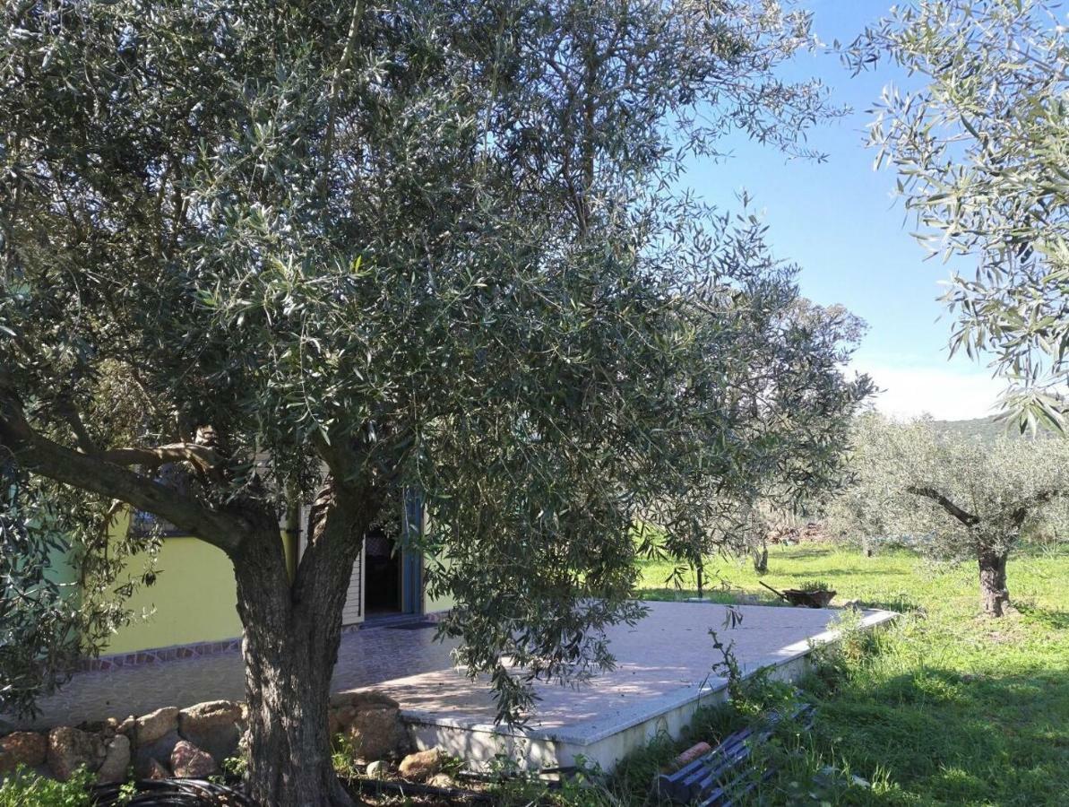 Agriturismo "Pirastreri" Siniscola Buitenkant foto